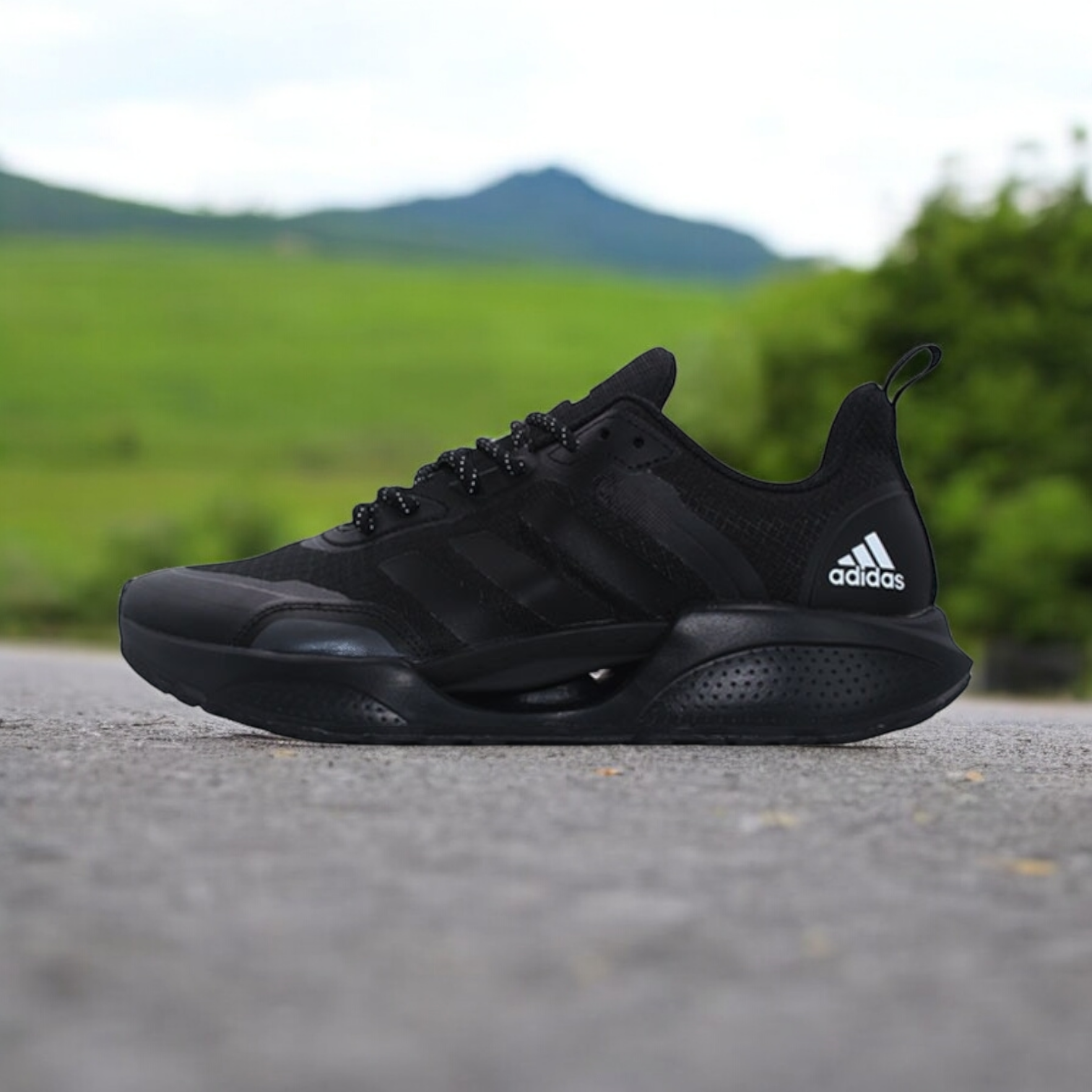 Stock