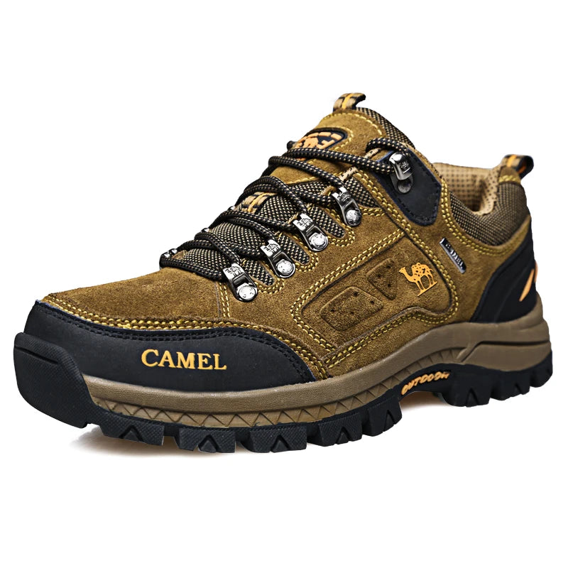Camel